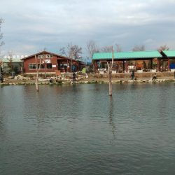 たまには数釣りを ～高島の泉～